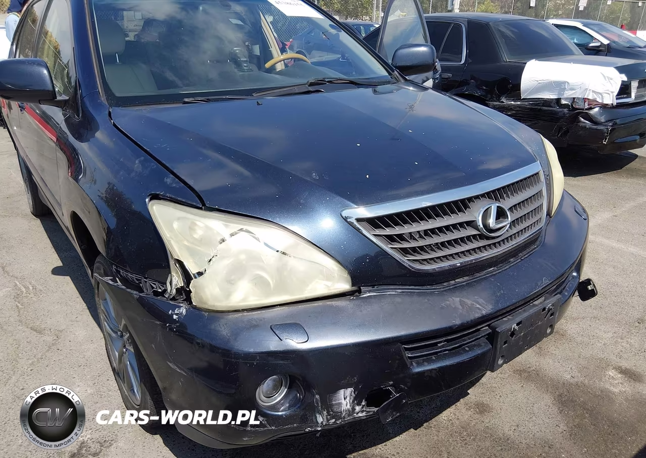 2006 Lexus Rx 400H VIN:JTJGW31U760002253 - 6