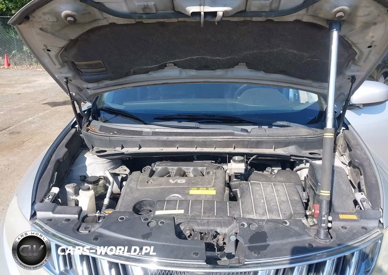 2010 Nissan Murano Sl VIN:JN8AZ1MWXAW130899 - 10
