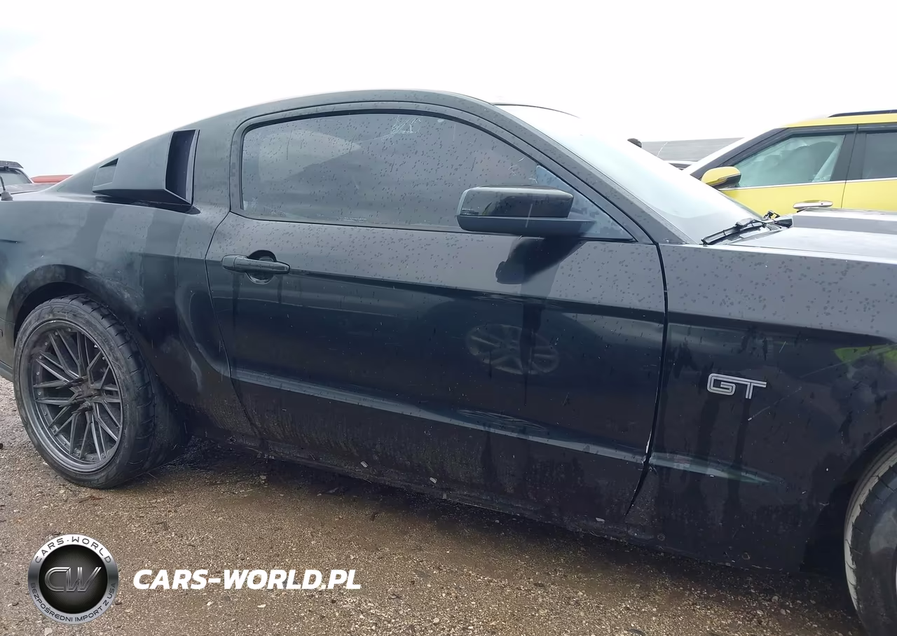2010 Ford Mustang Gt-Gt Premium VIN:1ZVBP8CHXA5101519 - 13