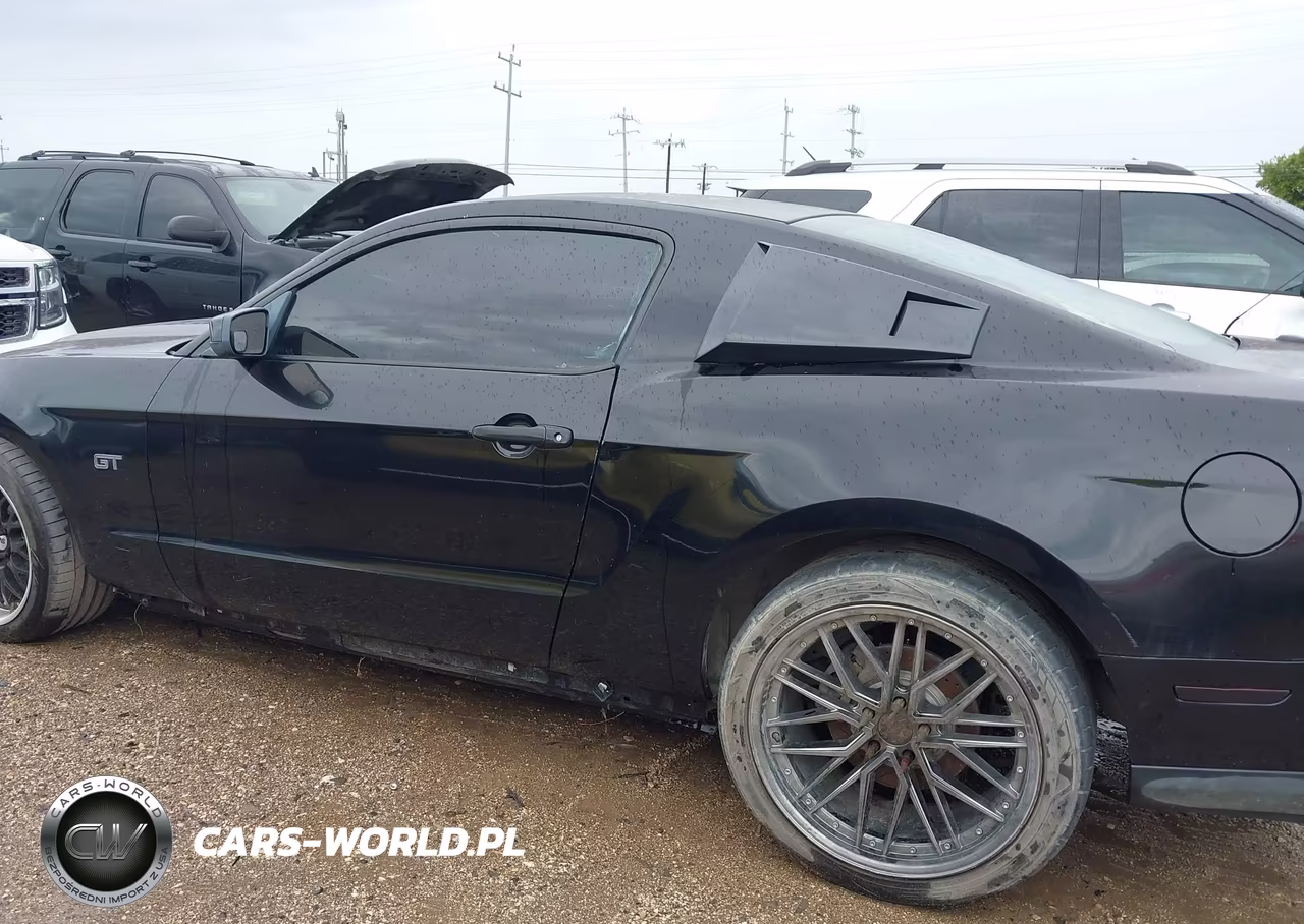 2010 Ford Mustang Gt-Gt Premium VIN:1ZVBP8CHXA5101519 - 14