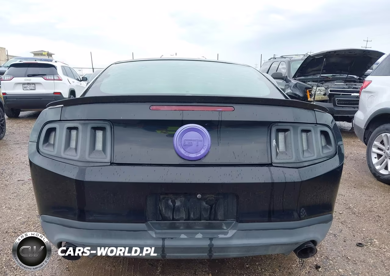 2010 Ford Mustang Gt-Gt Premium VIN:1ZVBP8CHXA5101519 - 16