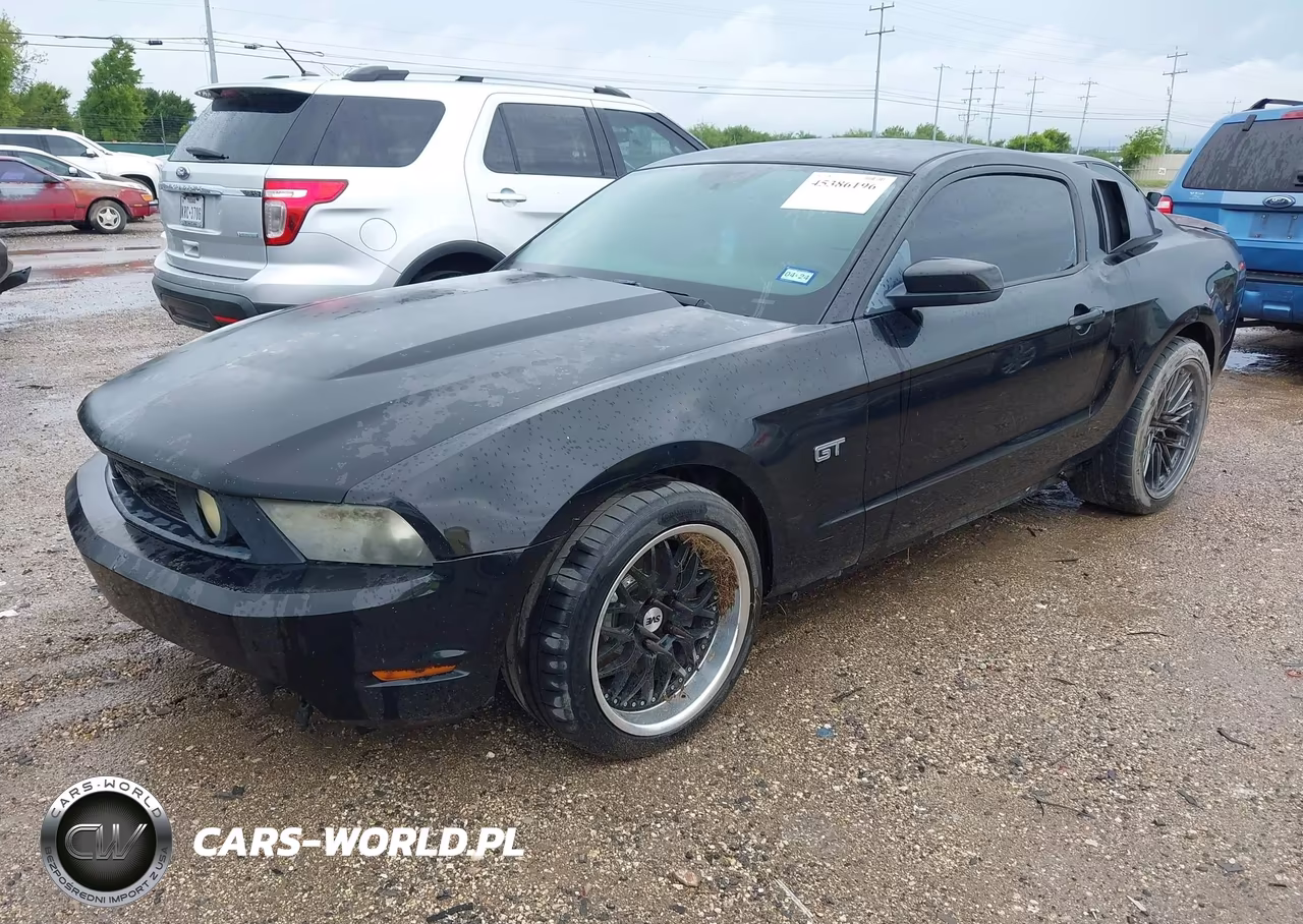 2010 Ford Mustang Gt-Gt Premium VIN:1ZVBP8CHXA5101519 - 2