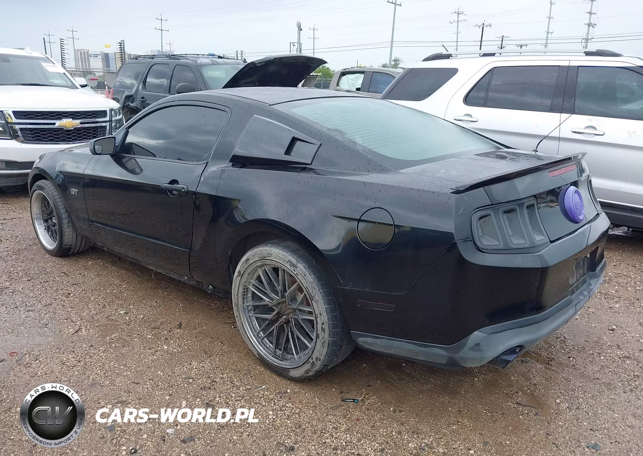 2010 Ford Mustang Gt-Gt Premium VIN:1ZVBP8CHXA5101519 - 3