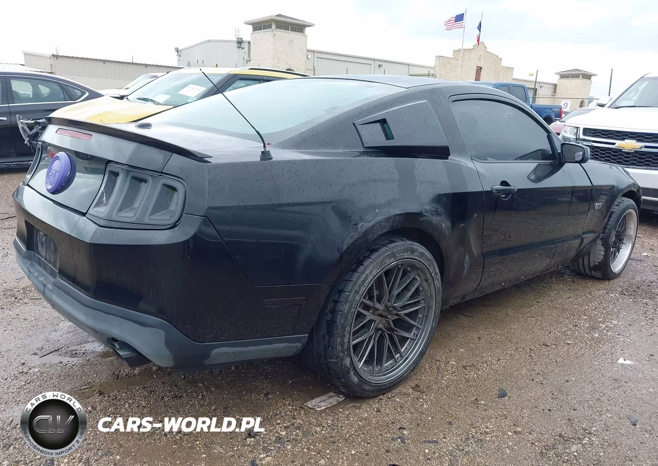 2010 Ford Mustang Gt-Gt Premium VIN:1ZVBP8CHXA5101519 - 4