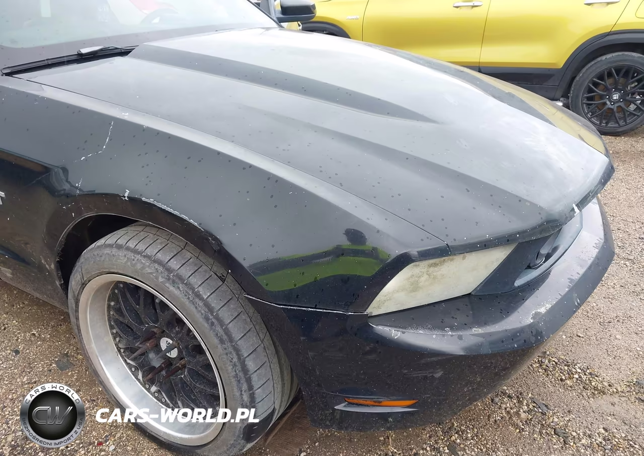 2010 Ford Mustang Gt-Gt Premium VIN:1ZVBP8CHXA5101519 - 6