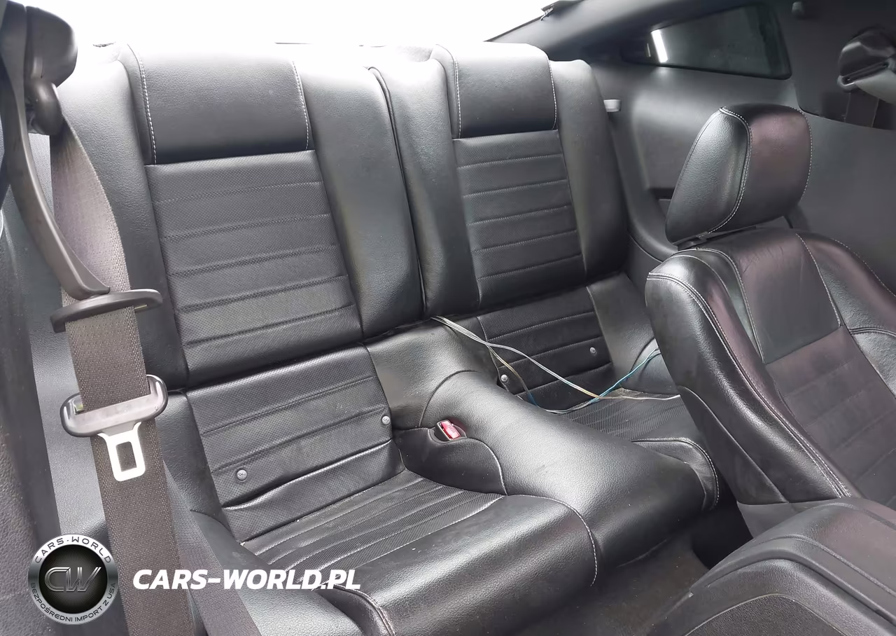2010 Ford Mustang Gt-Gt Premium VIN:1ZVBP8CHXA5101519 - 8