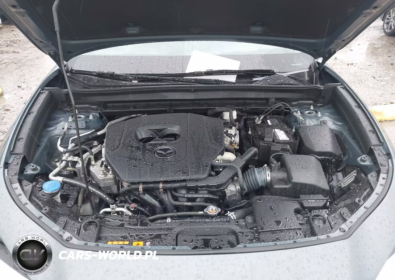2023 Mazda Cx-30 2.5 S Carbon Edition VIN:3MVDMBCMXPM529168 - 10