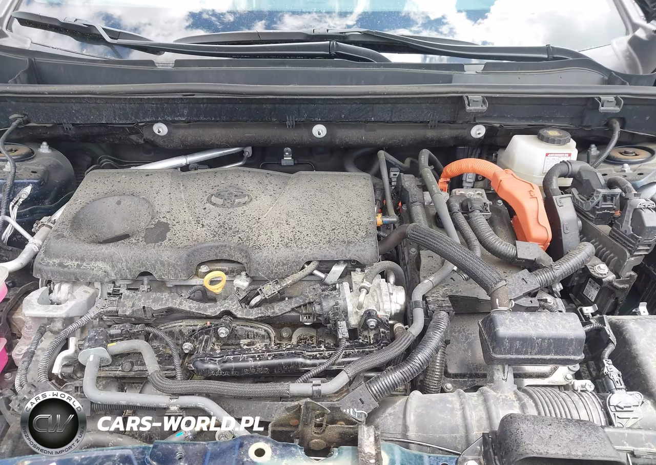 2024 Toyota Rav4 Hybrid Xle Premium VIN:2T3B6RFV0RW054146 - 10