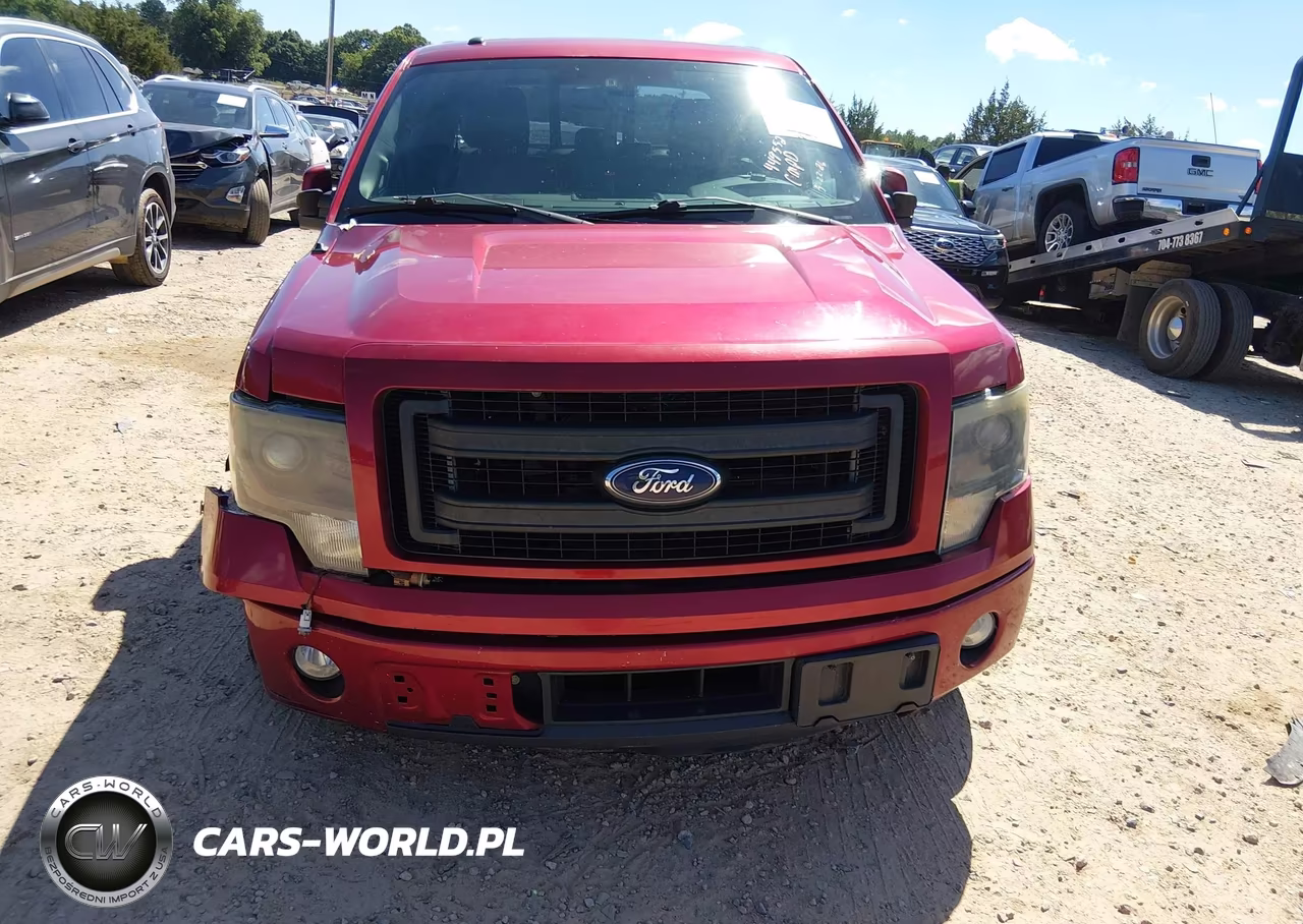 2014 Ford F-150 Fx2 VIN:1FTFW1CT5EFA24495 - 12
