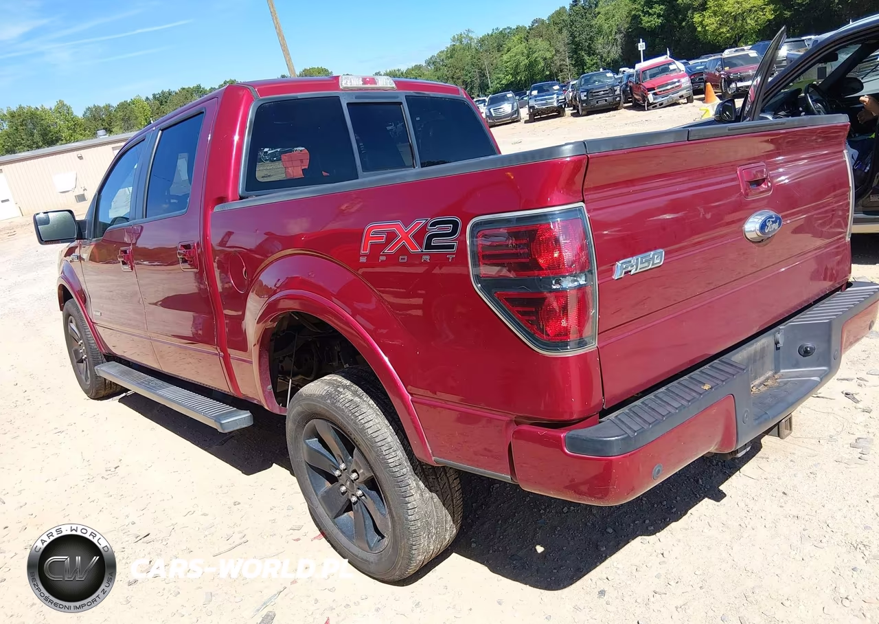 2014 Ford F-150 Fx2 VIN:1FTFW1CT5EFA24495 - 3