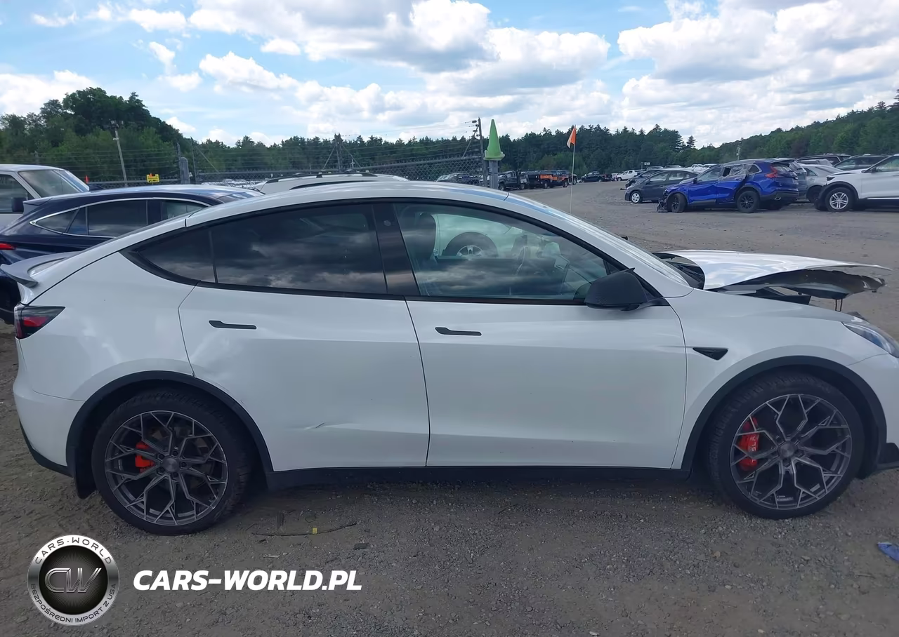 2020 Tesla Model Y Long Range Dual Motor All-Wheel Drive VIN:5YJYGDEE5LF032233 - 13