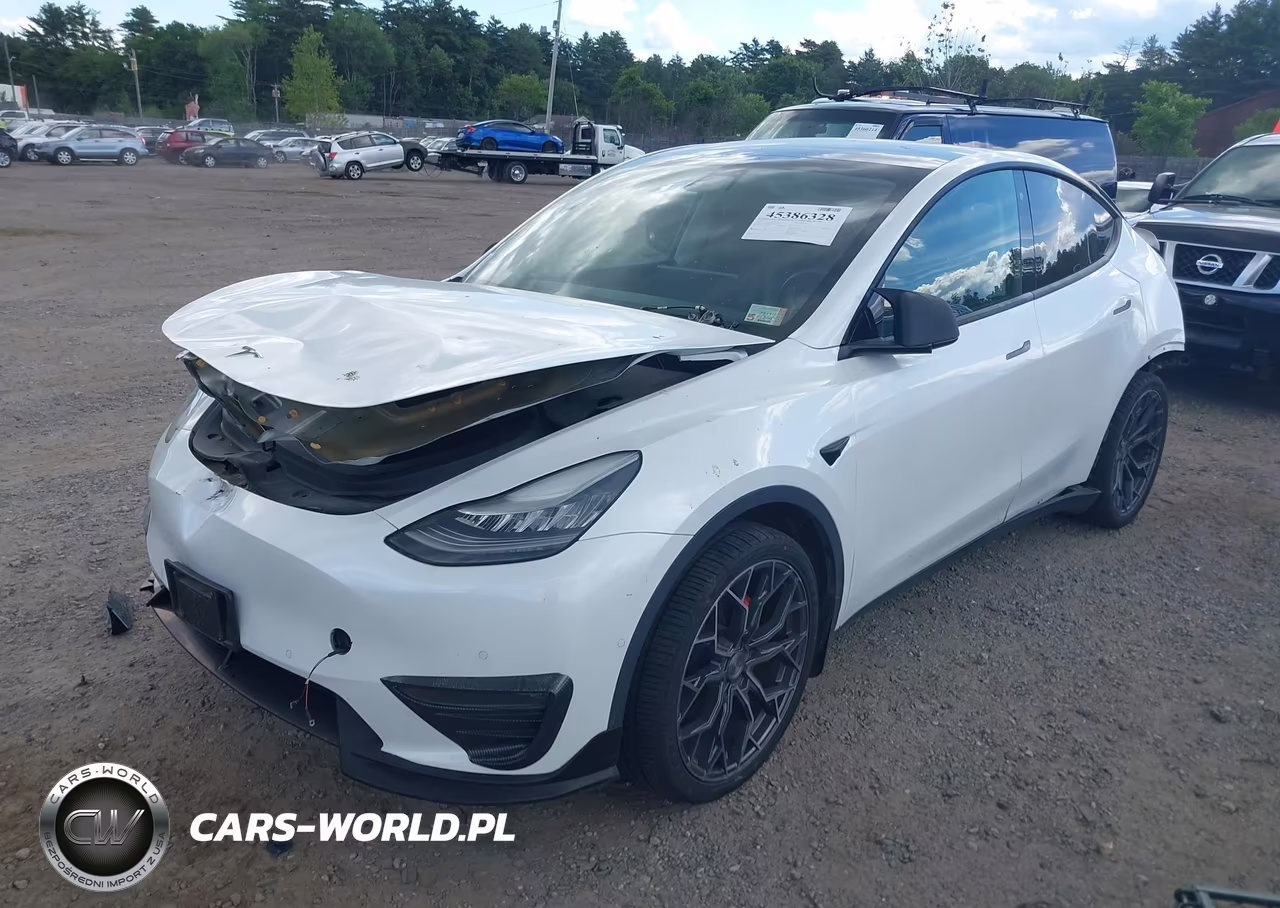 2020 Tesla Model Y Long Range Dual Motor All-Wheel Drive VIN:5YJYGDEE5LF032233 - 2