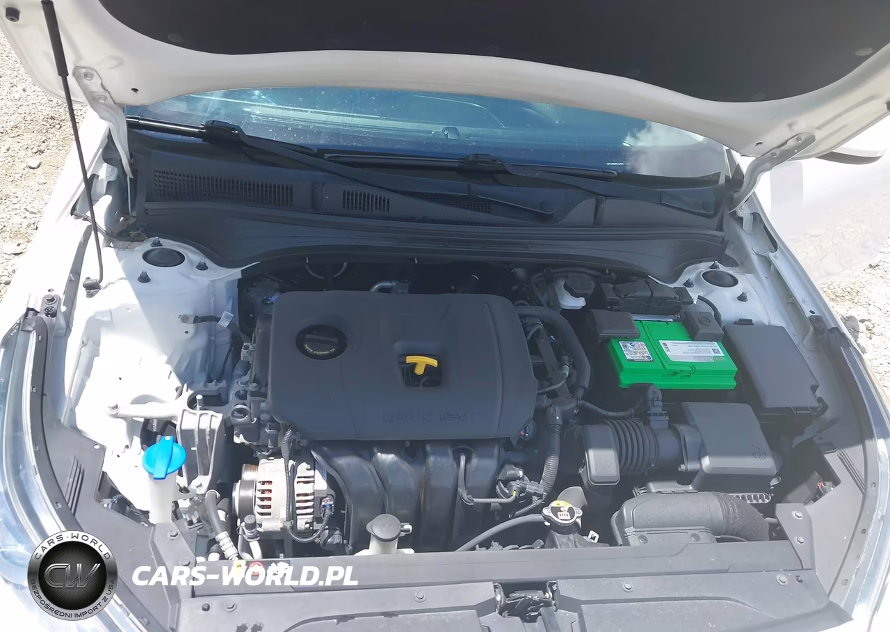 2019 Kia Forte Lxs VIN:3KPF24AD4KE107947 - 10