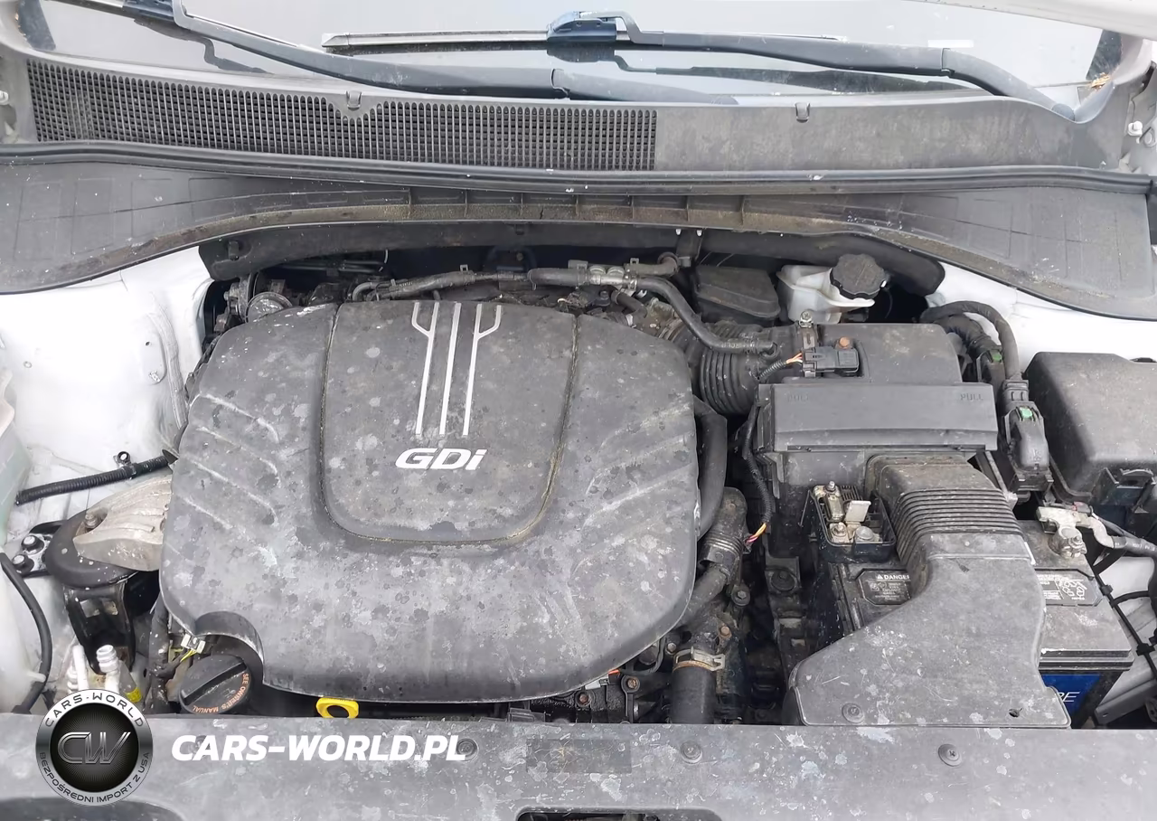2016 Kia Sorento 3.3L Lx VIN:5XYPGDA54GG092665 - 10