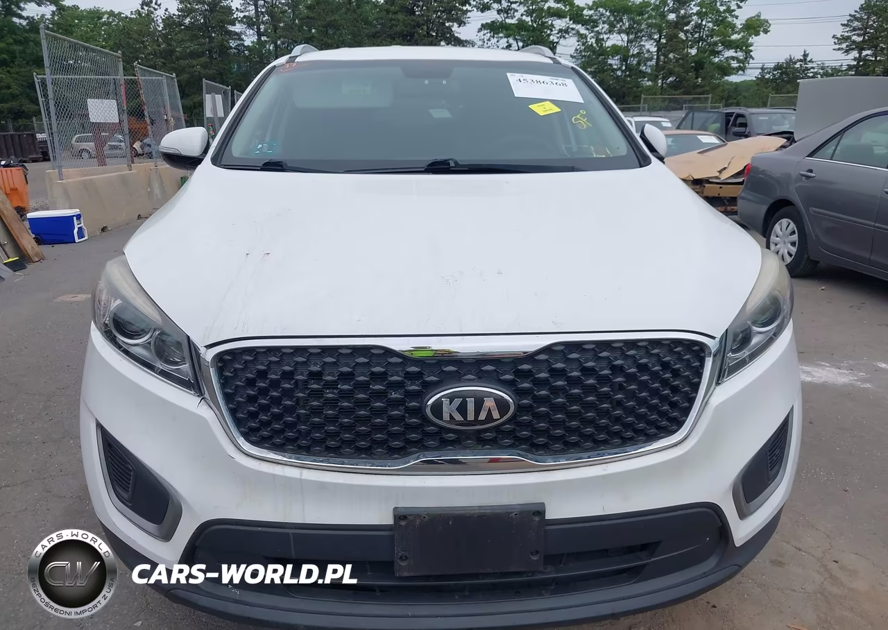 2016 Kia Sorento 3.3L Lx VIN:5XYPGDA54GG092665 - 12