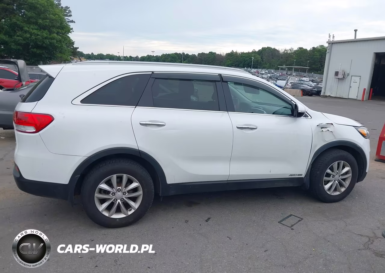 2016 Kia Sorento 3.3L Lx VIN:5XYPGDA54GG092665 - 13