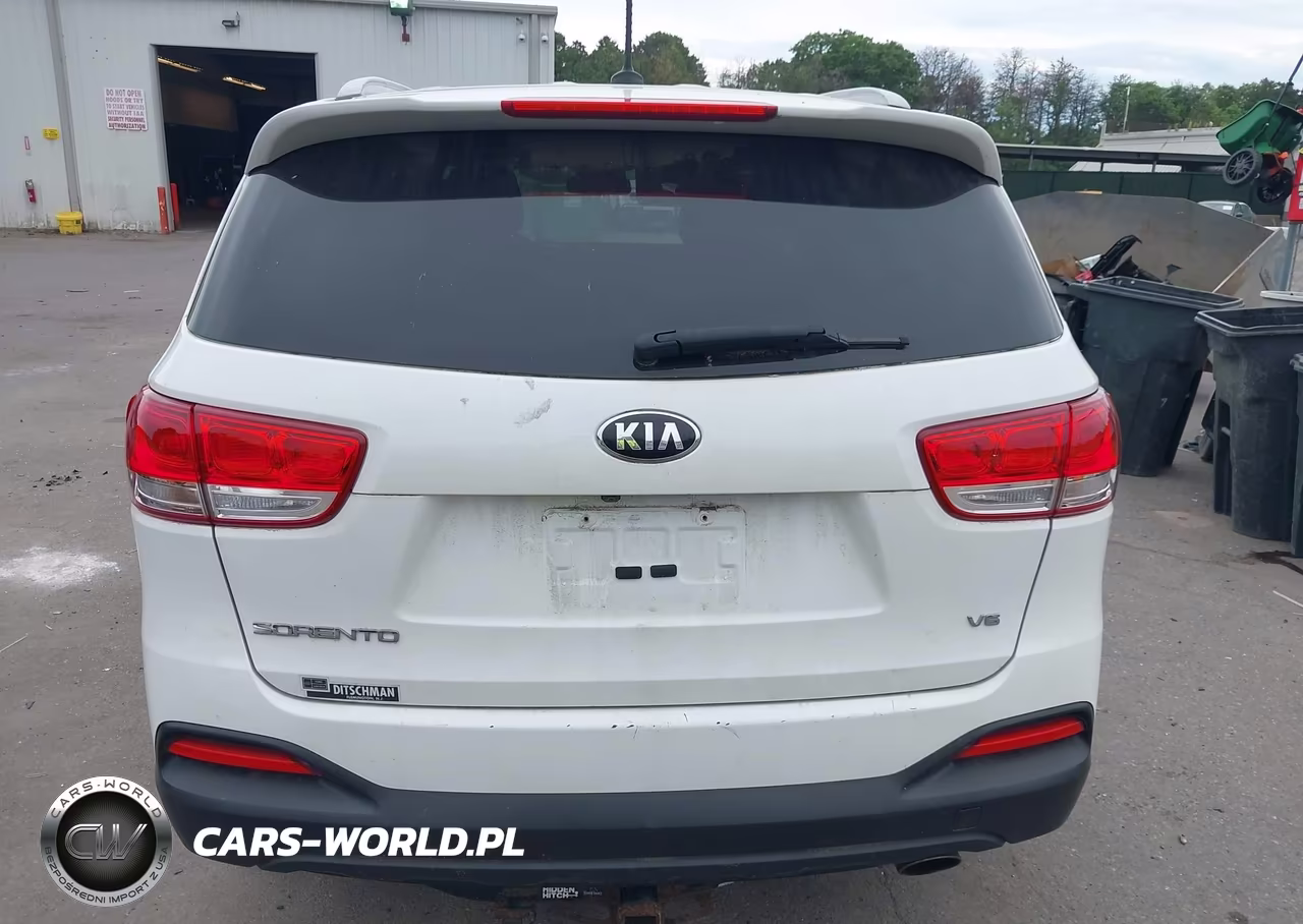 2016 Kia Sorento 3.3L Lx VIN:5XYPGDA54GG092665 - 16