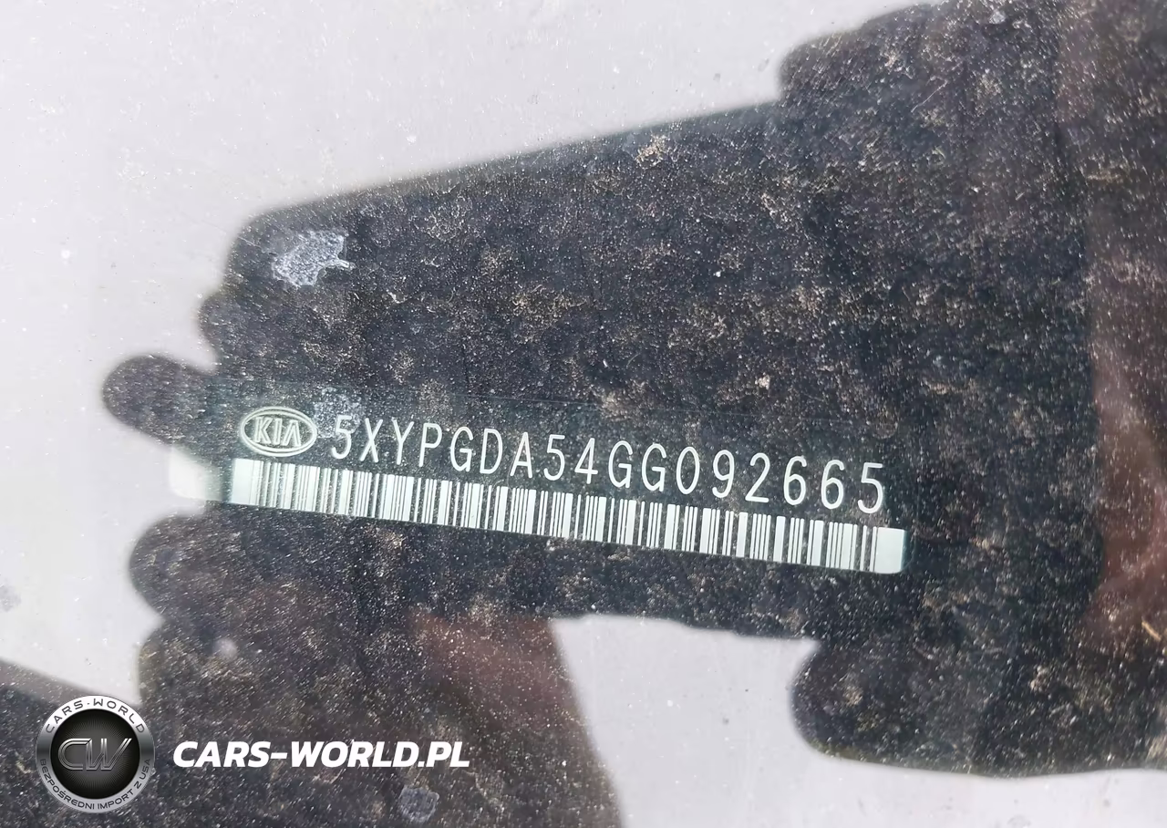 2016 Kia Sorento 3.3L Lx VIN:5XYPGDA54GG092665 - 17