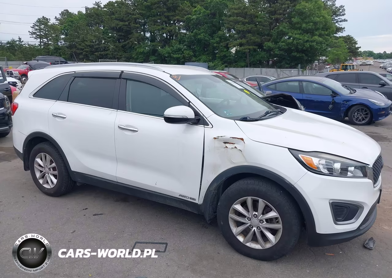 2016 Kia Sorento 3.3L Lx VIN:5XYPGDA54GG092665 - 6