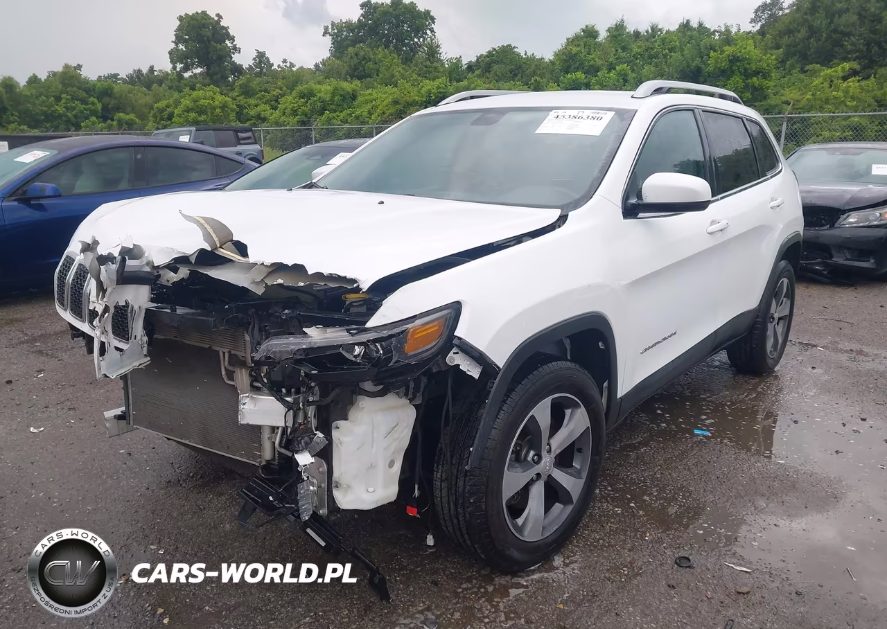 2019 Jeep Cherokee Limited 4X4 VIN:1C4PJMDX0KD163690 - 2