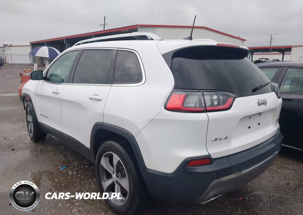 2019 Jeep Cherokee Limited 4X4 VIN:1C4PJMDX0KD163690 - 3