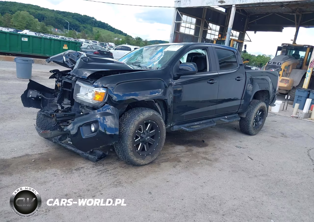 2016 GMC Canyon 4Wd Sle VIN:1GTP6CE19G1307378 - 2