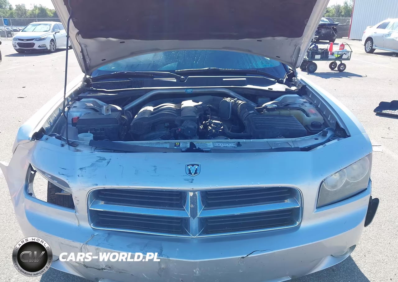 2010 Dodge Charger Sxt VIN:2B3CA3CV3AH309494 - 10