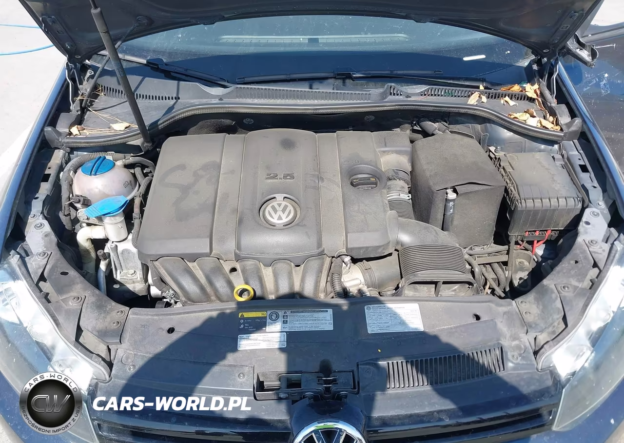 2014 Volkswagen Golf 2.5L VIN:WVWDB7AJ9EW008372 - 10