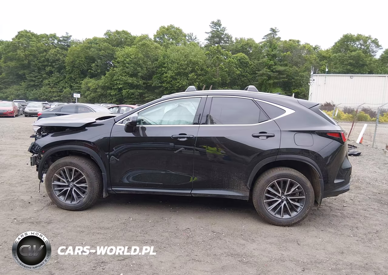 2024 Lexus Nx 350 Premium VIN:2T2GGCEZ5RC040799 - 15