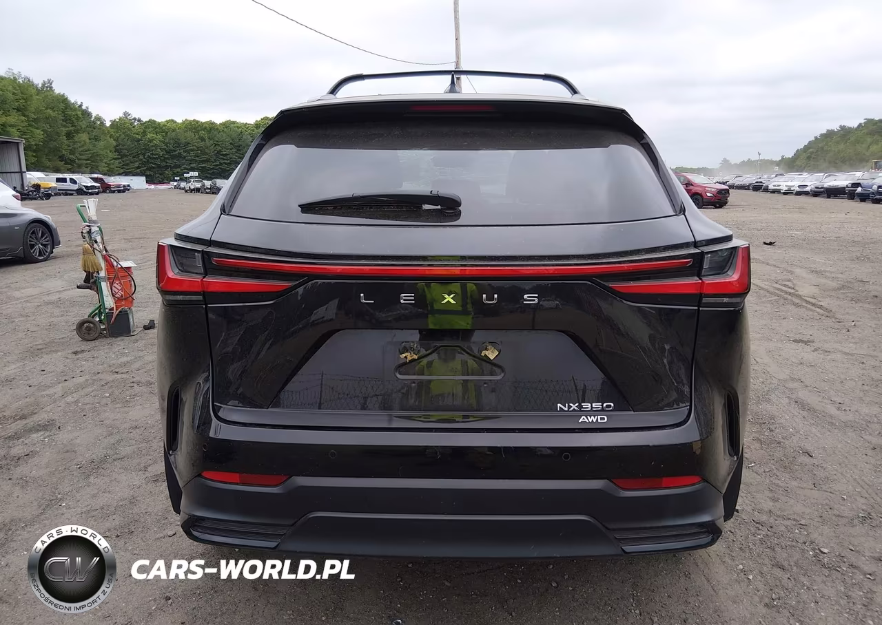 2024 Lexus Nx 350 Premium VIN:2T2GGCEZ5RC040799 - 17