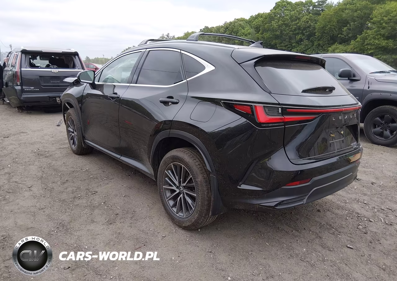 2024 Lexus Nx 350 Premium VIN:2T2GGCEZ5RC040799 - 3
