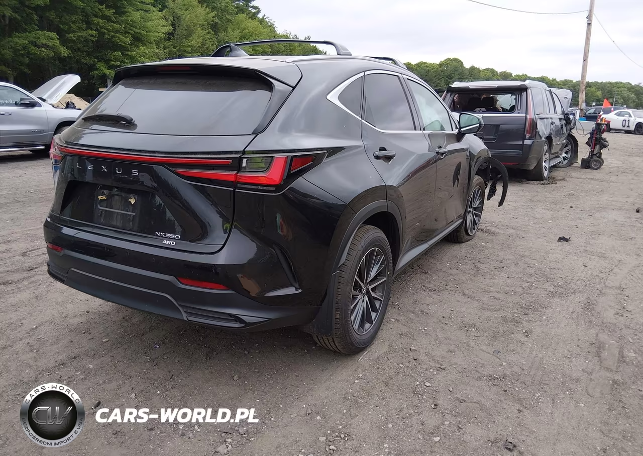 2024 Lexus Nx 350 Premium VIN:2T2GGCEZ5RC040799 - 4