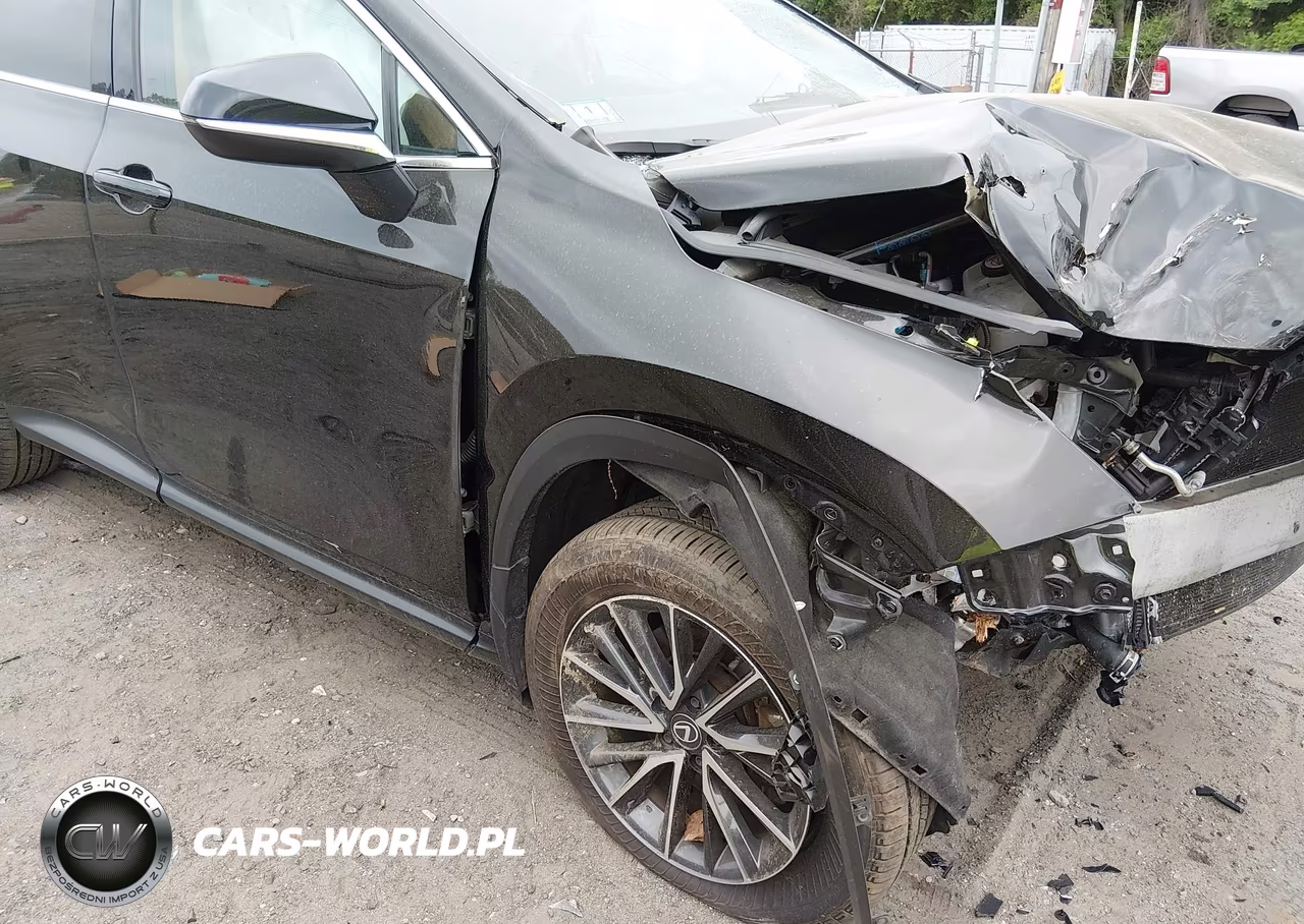 2024 Lexus Nx 350 Premium VIN:2T2GGCEZ5RC040799 - 6