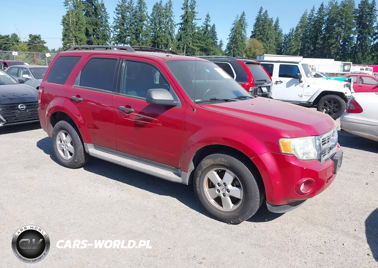 2009 Ford Escape Xlt