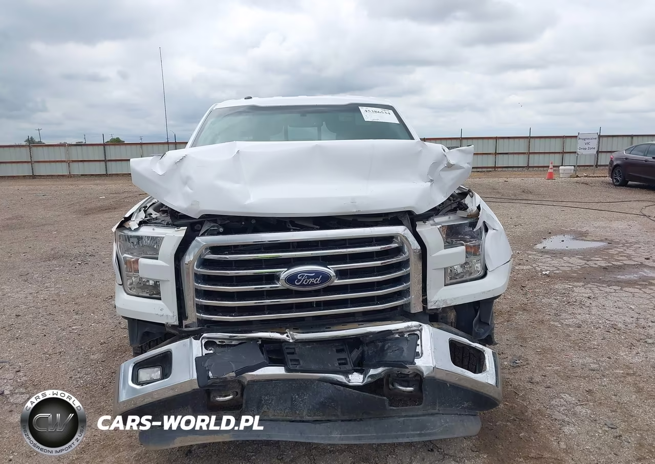 2015 Ford F-150 Xlt VIN:1FTEW1EFXFKE38576 - 12