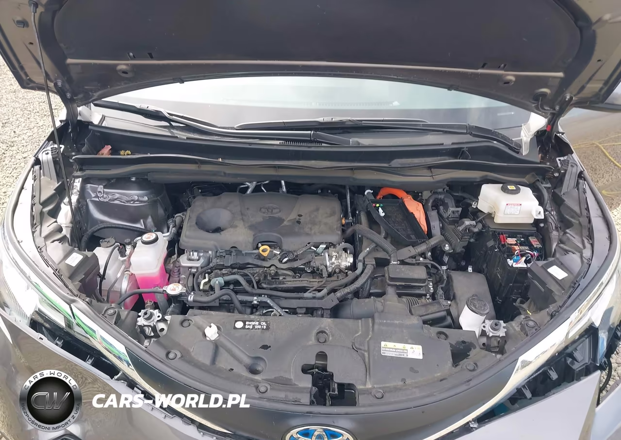 2023 Toyota Sienna Xle VIN:5TDJSKFC4PS107832 - 10