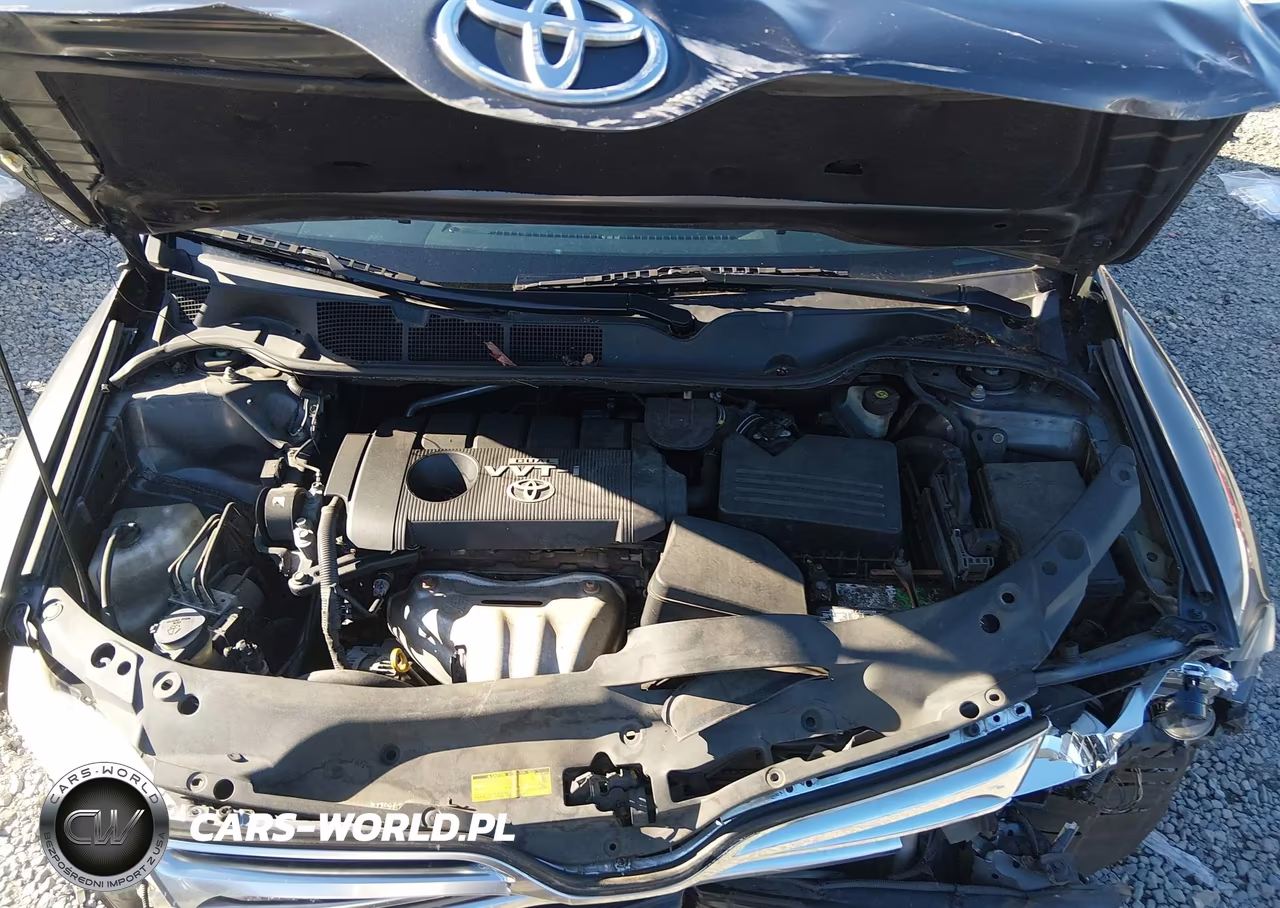 2009 Toyota Venza VIN:4T3ZE11A09U001602 - 10