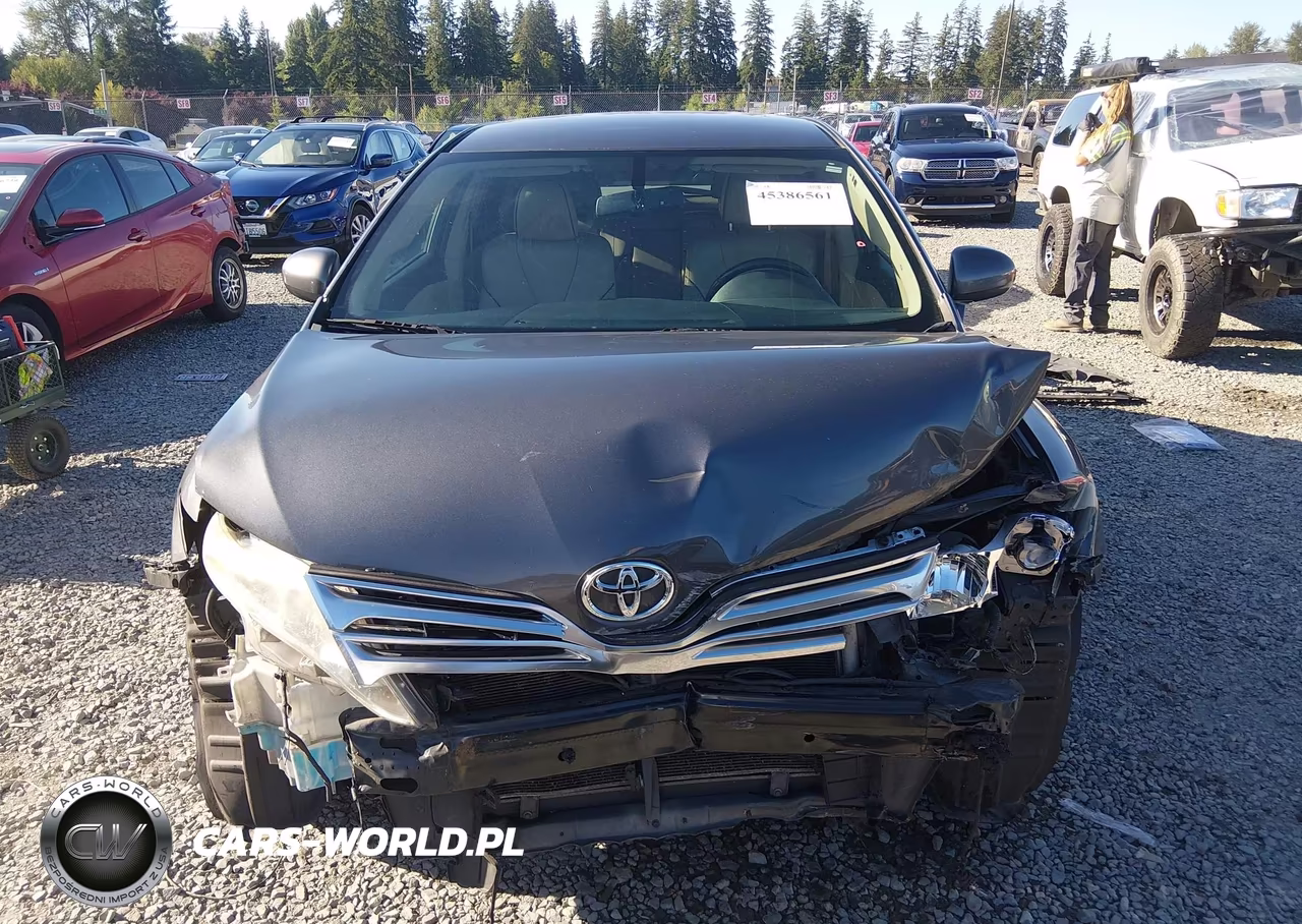 2009 Toyota Venza VIN:4T3ZE11A09U001602 - 13