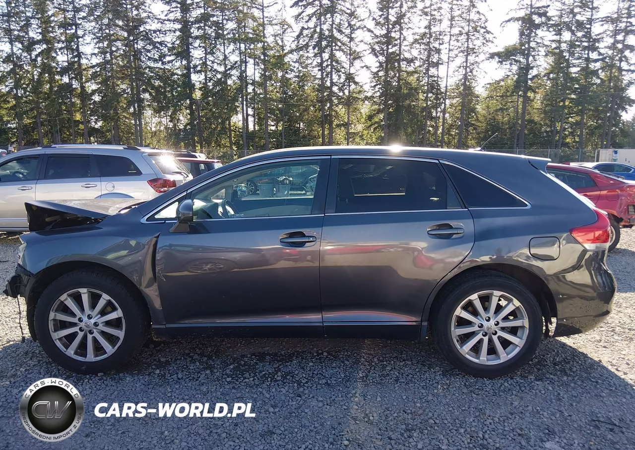 2009 Toyota Venza VIN:4T3ZE11A09U001602 - 15