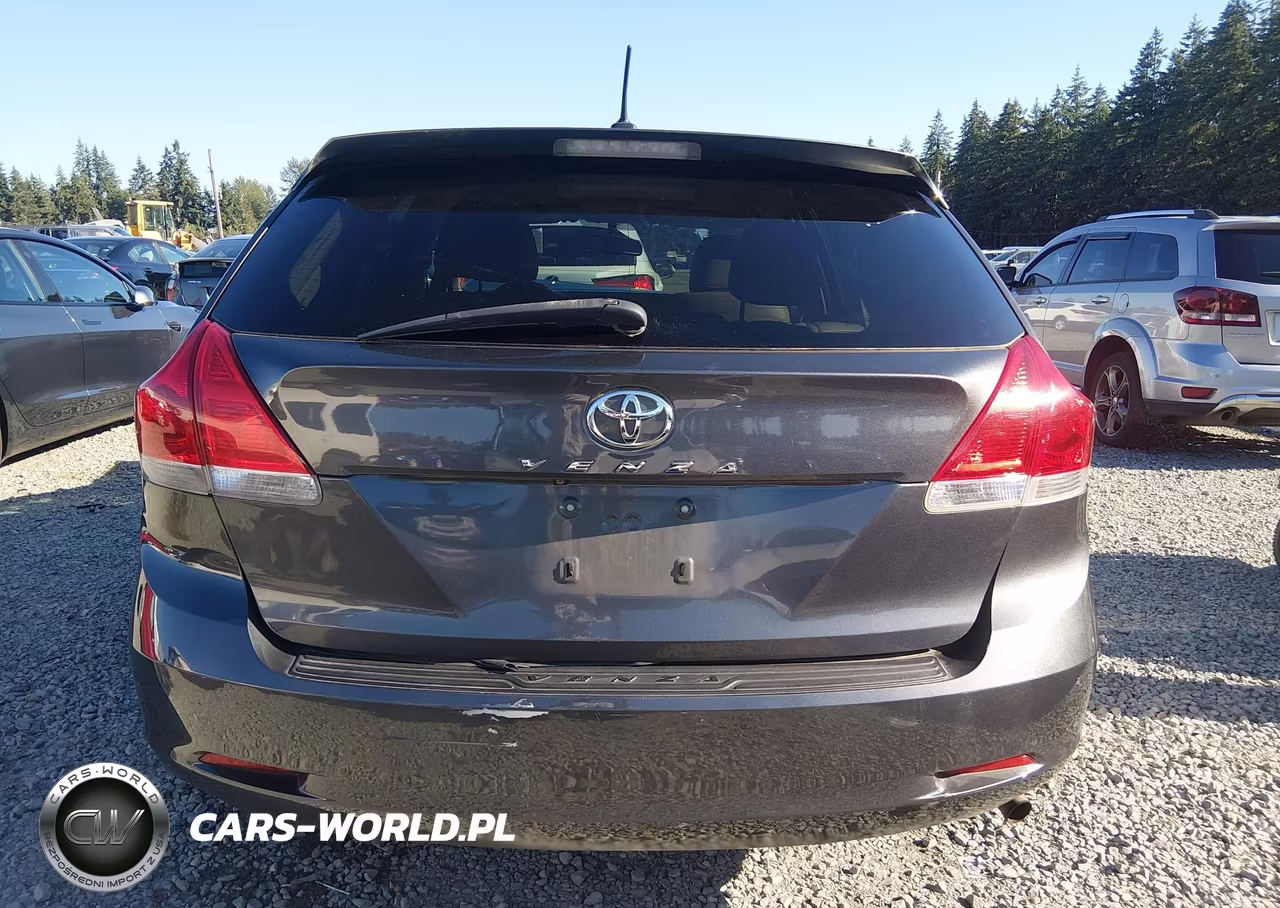 2009 Toyota Venza VIN:4T3ZE11A09U001602 - 17