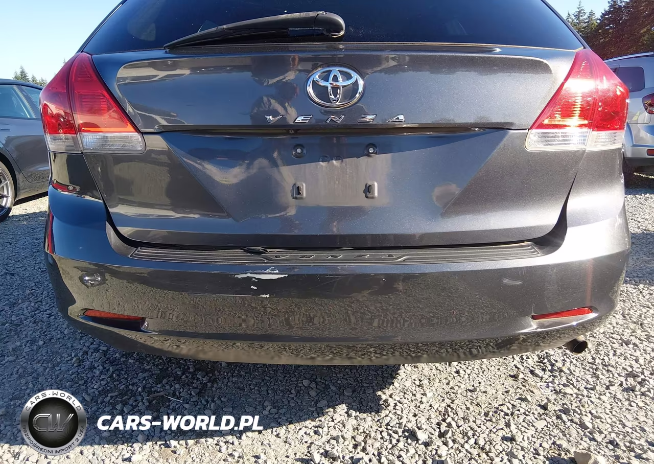 2009 Toyota Venza VIN:4T3ZE11A09U001602 - 19