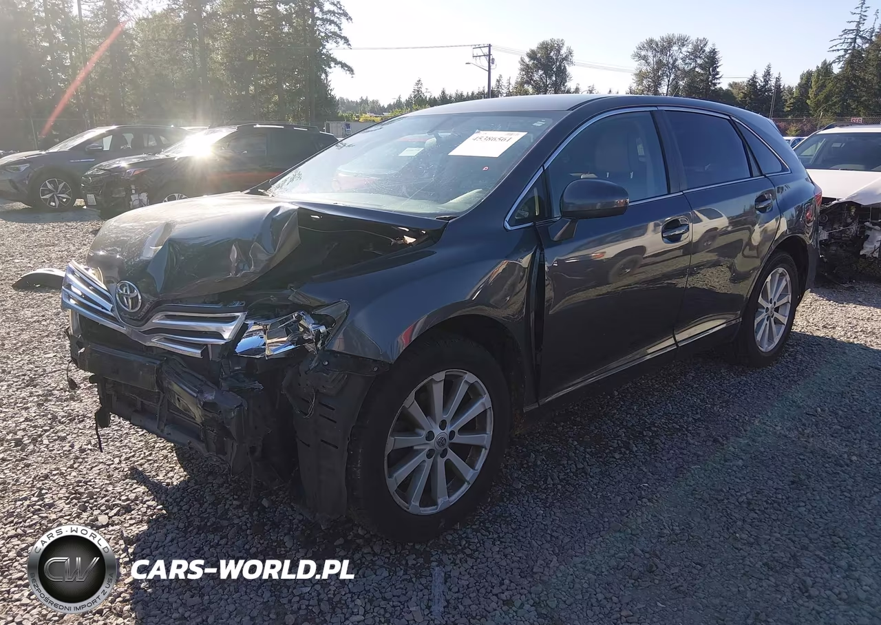 2009 Toyota Venza VIN:4T3ZE11A09U001602 - 2