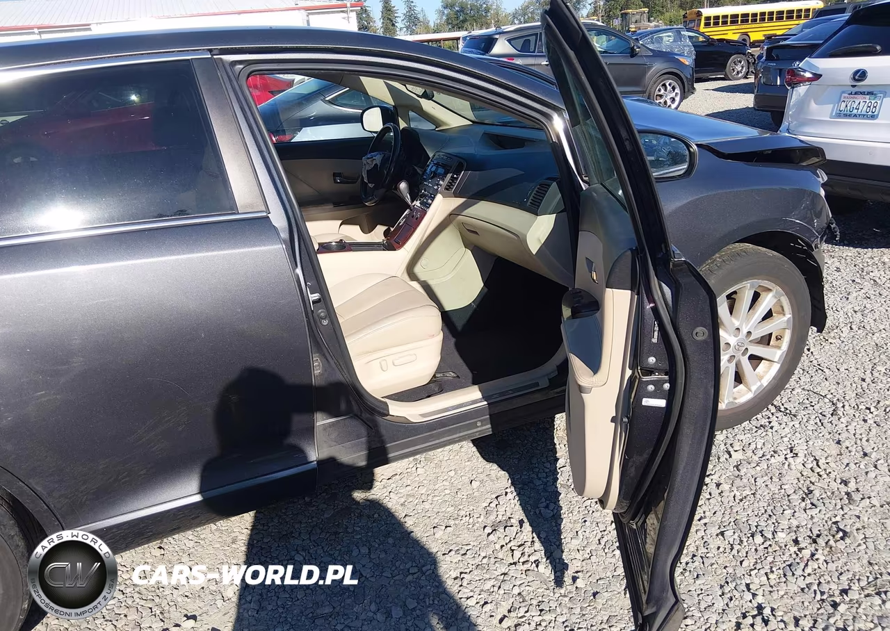 2009 Toyota Venza VIN:4T3ZE11A09U001602 - 5
