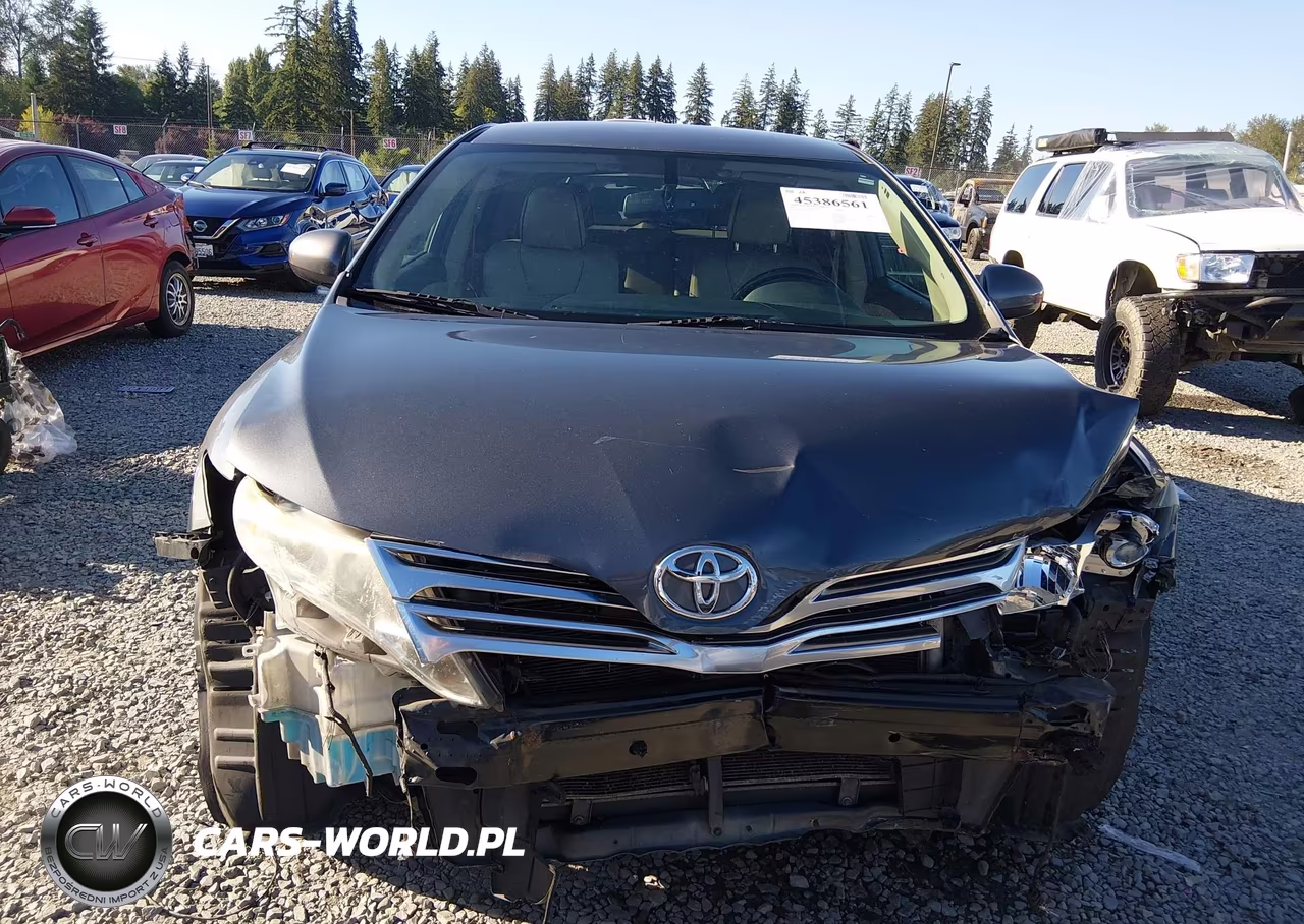 2009 Toyota Venza VIN:4T3ZE11A09U001602 - 6