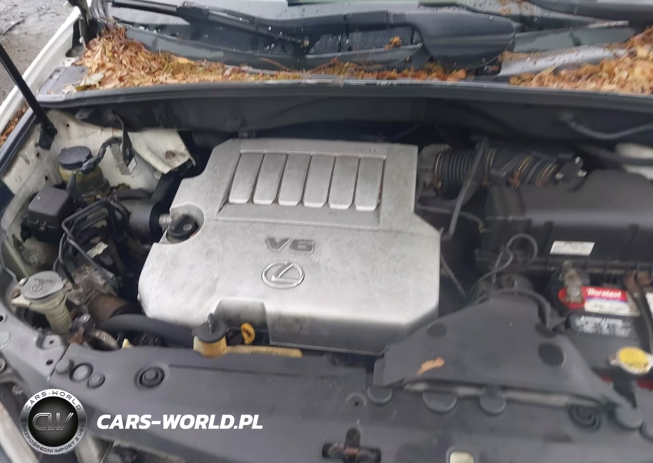 2007 Lexus Rx 350 VIN:2T2GK31U27C017955 - 10