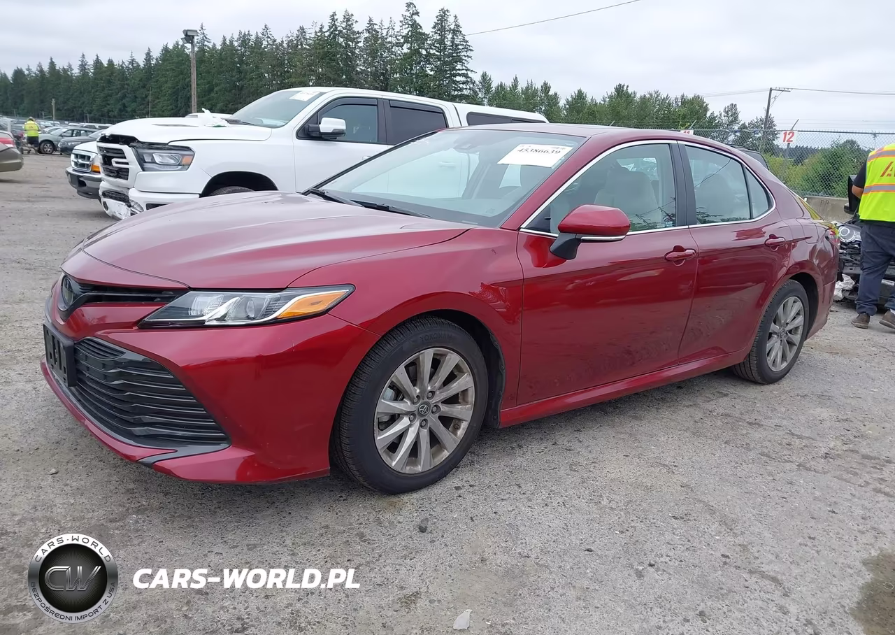 2019 Toyota Camry Le VIN:4T1B11HK8KU691416 - 2