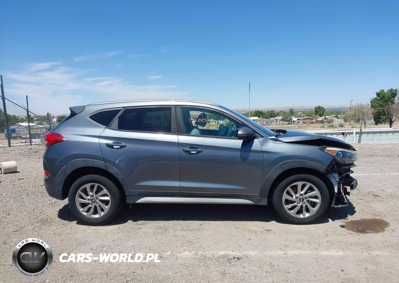 2017 Hyundai Tucson Se VIN:KM8J33A41HU401524 - 13