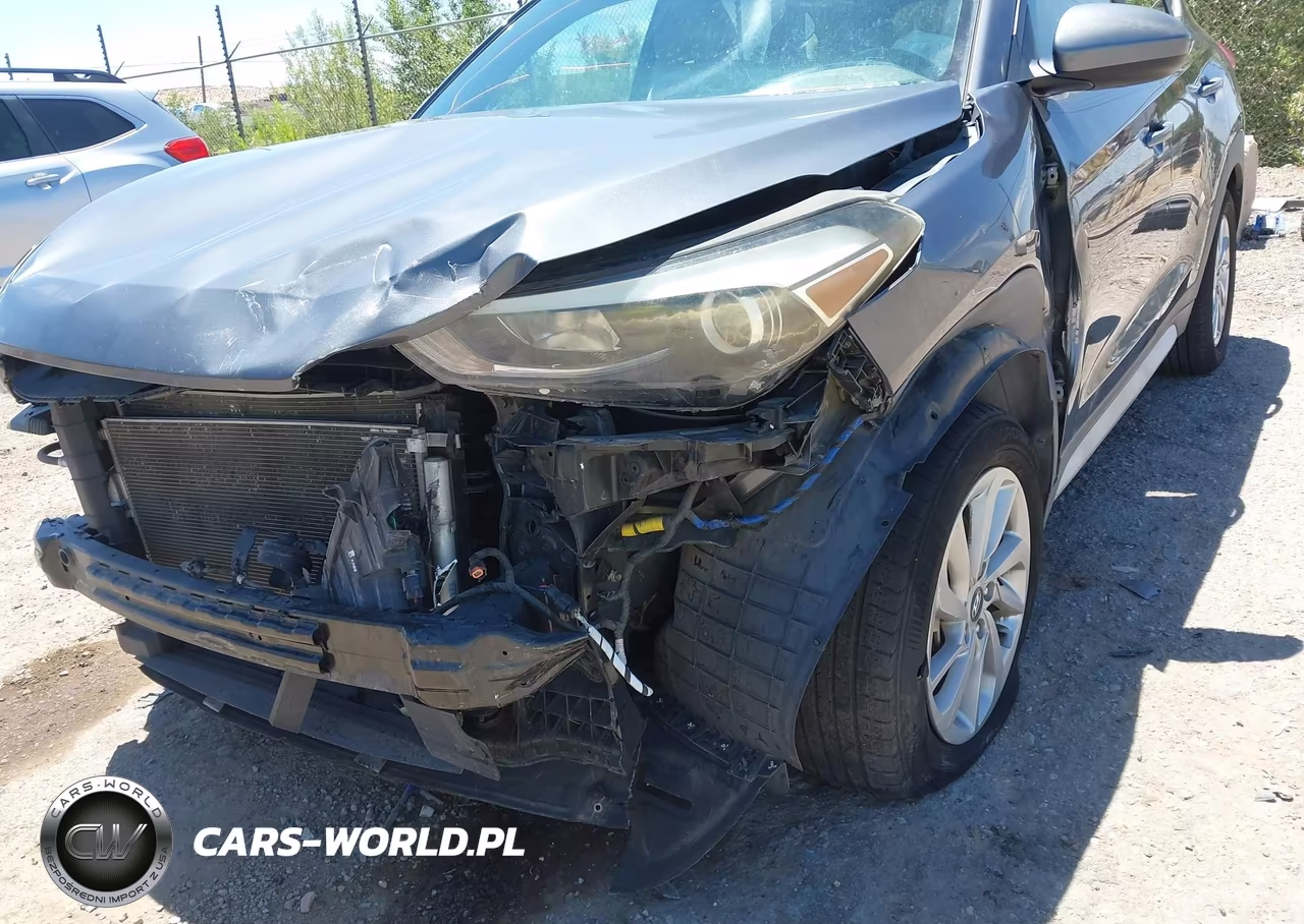 2017 Hyundai Tucson Se VIN:KM8J33A41HU401524 - 6