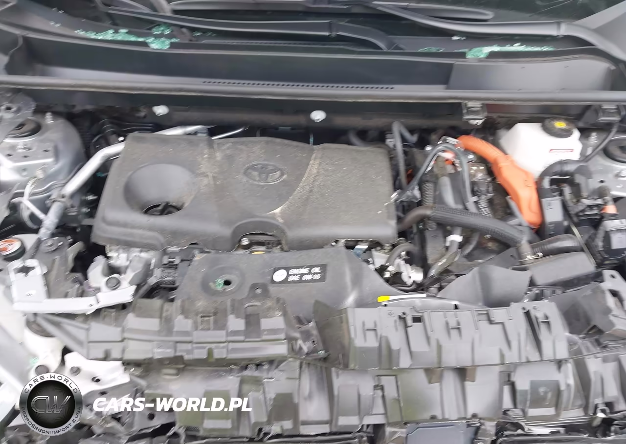 2024 Toyota Rav4 Hybrid Xle VIN:2T3RWRFV7RW244184 - 10