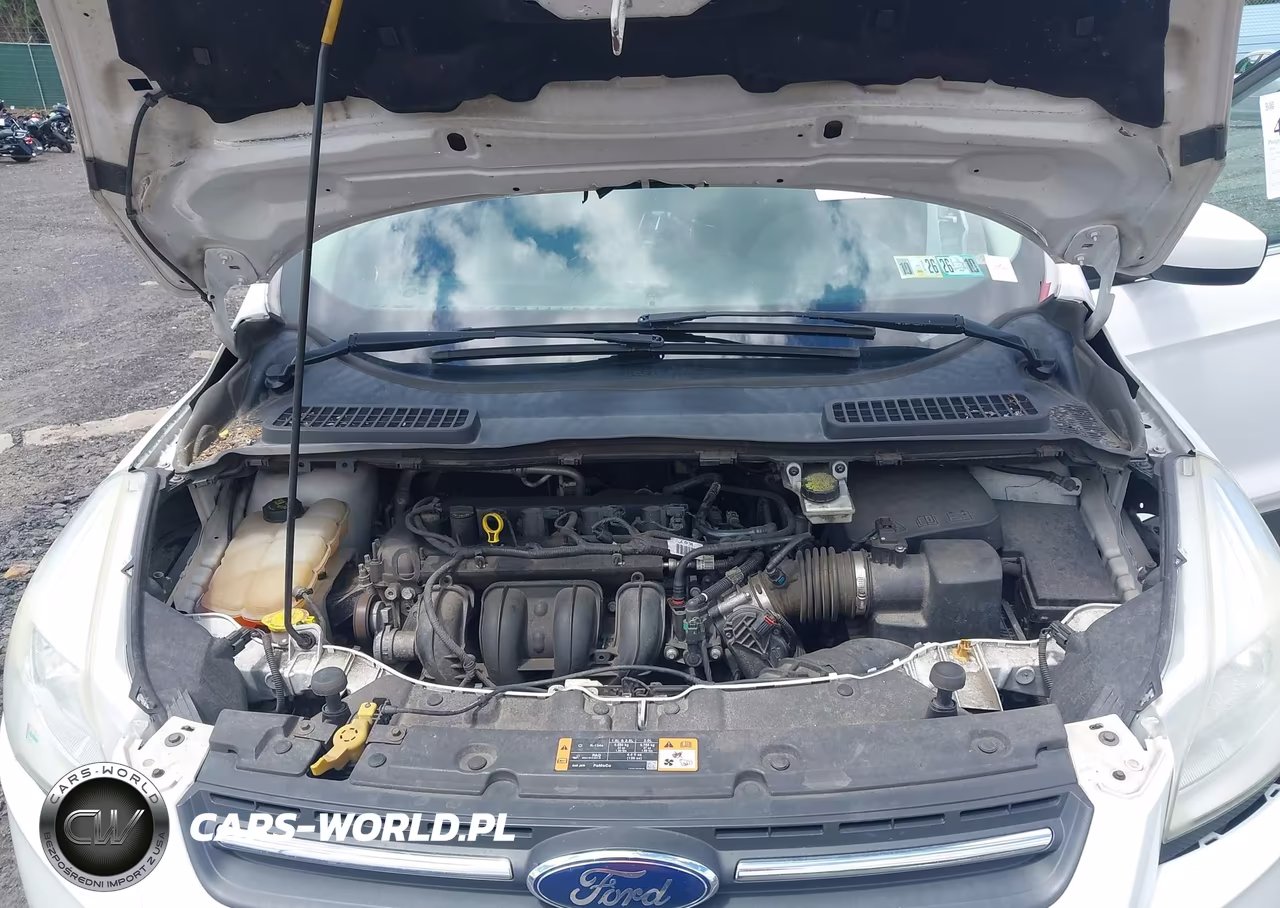 2016 Ford Escape Se VIN:1FMCU0G74GUC90861 - 10